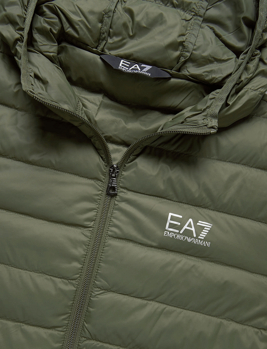 EA7 - DOWN JACKET - efterårsjakker - kalamata - 2