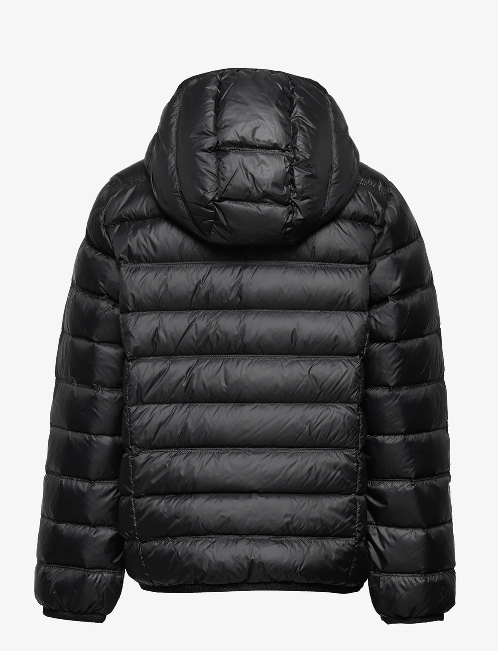 EA7 Outerwear Puffer Padded Boozt