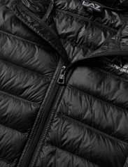 EA7 - DOWN JACKETS - insulated jackets - black - 2