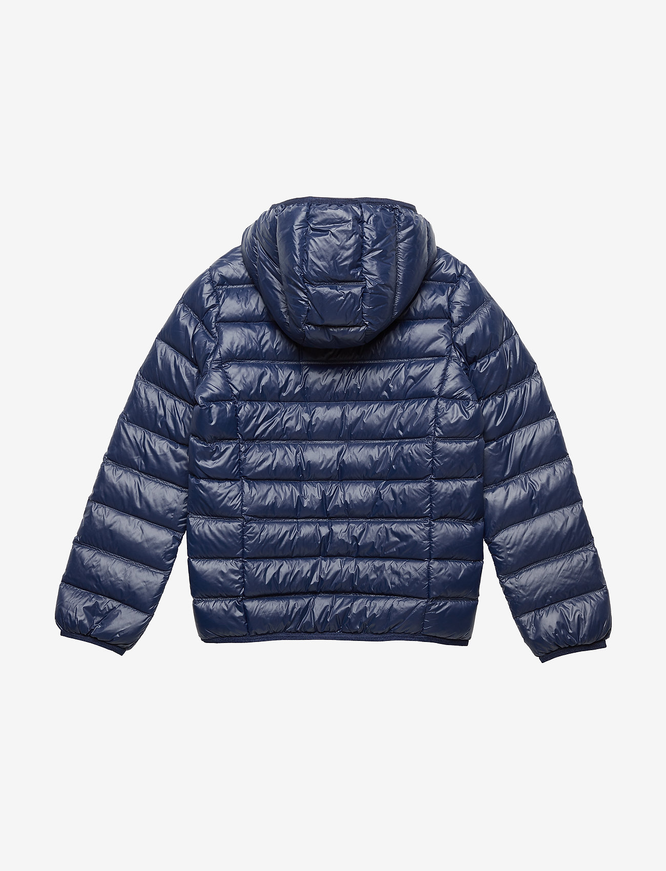 EA7 - JACKET - navy blue - 1