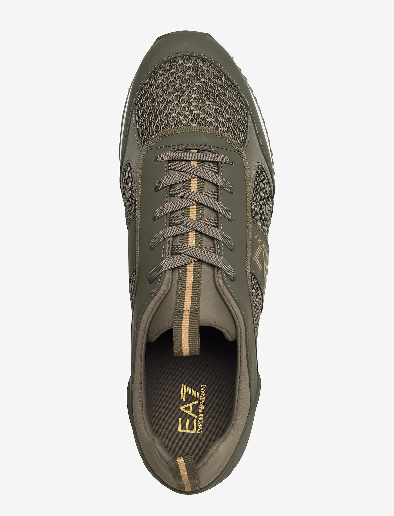 EA7 - ENGLISH - grape leaf+gold - 3