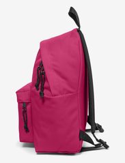 Eastpak - PADDED PAK'R - shop by occasion - lush granate - 3