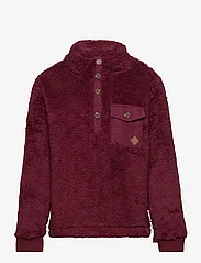 ebbe Kids - Sten Fleece Jacket - fleece jacket - 0645 bordeaux - 0