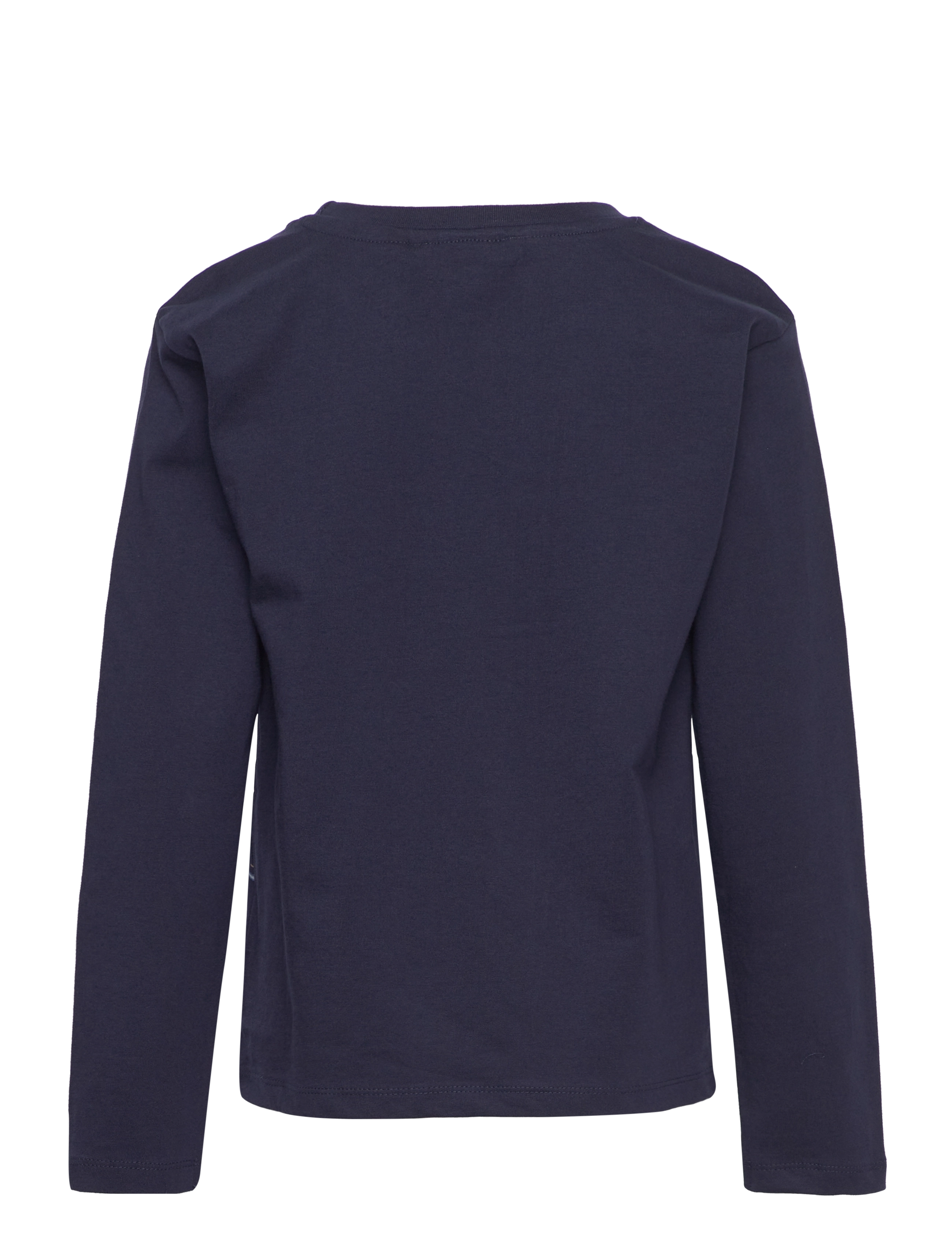 ebbe Kids - Chris  l/s t-shirt - 0834 compas print - 1