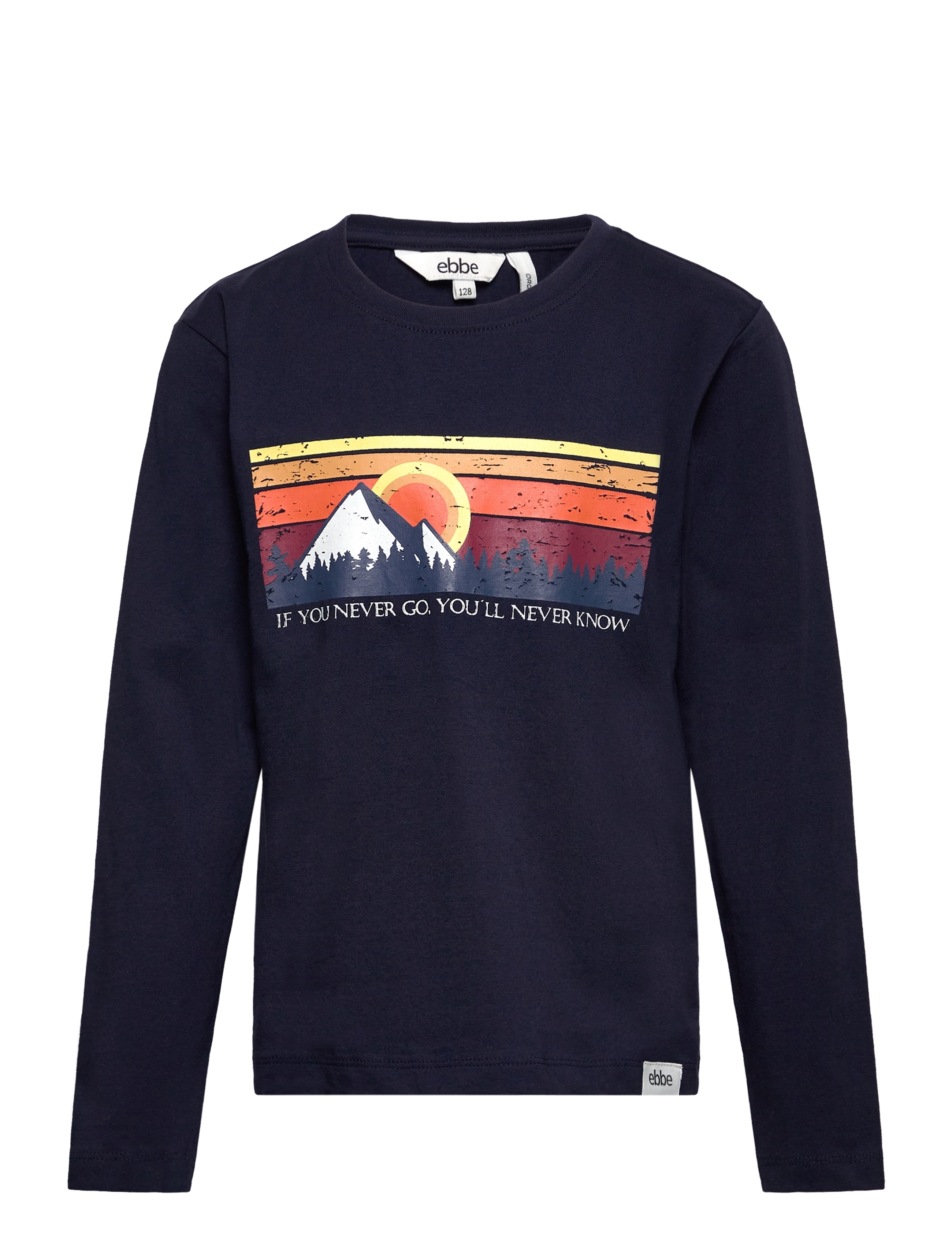 0826  MOUNTAIN FRONT PRINT