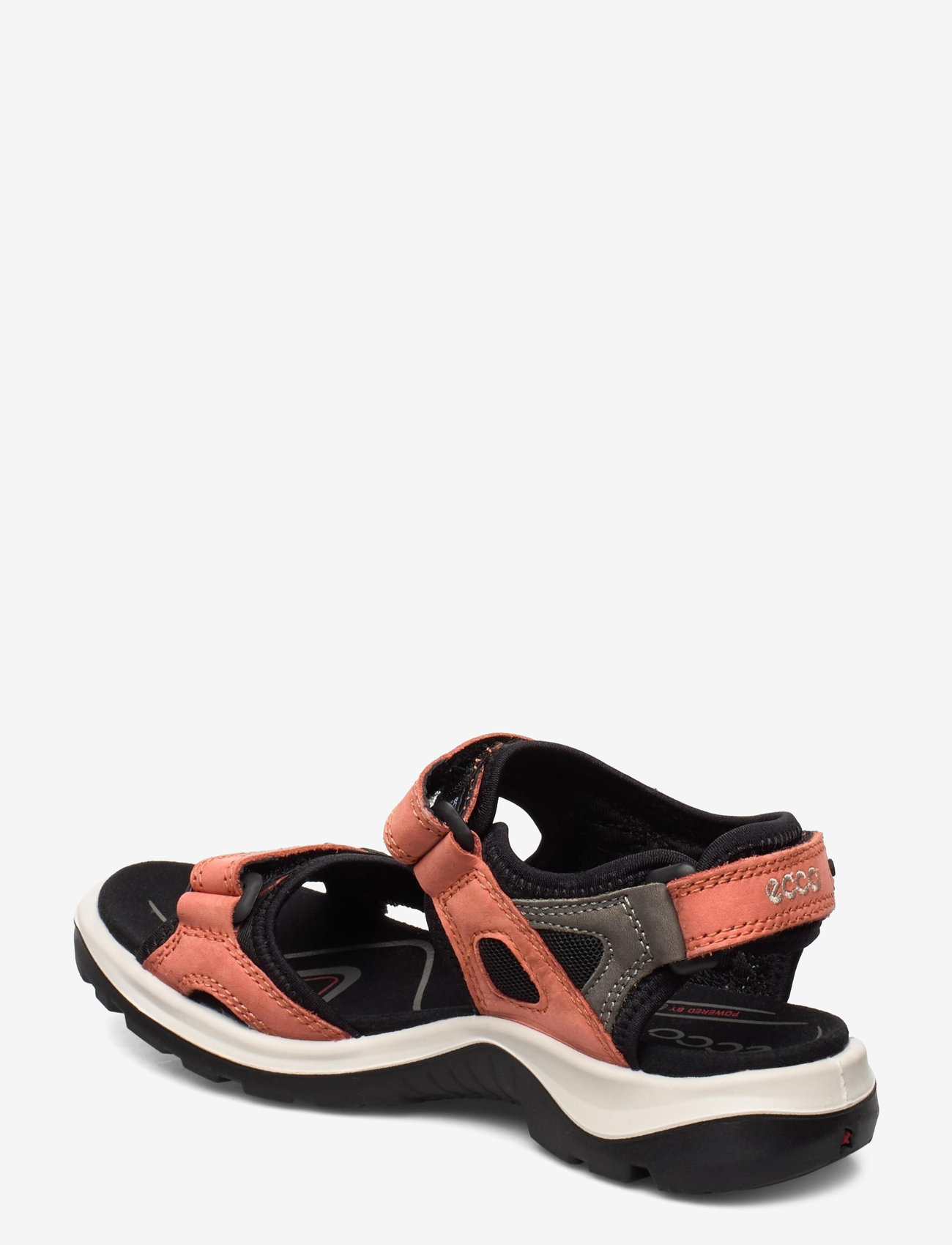 ECCO - OFFROAD - apricot/dark clay - 2