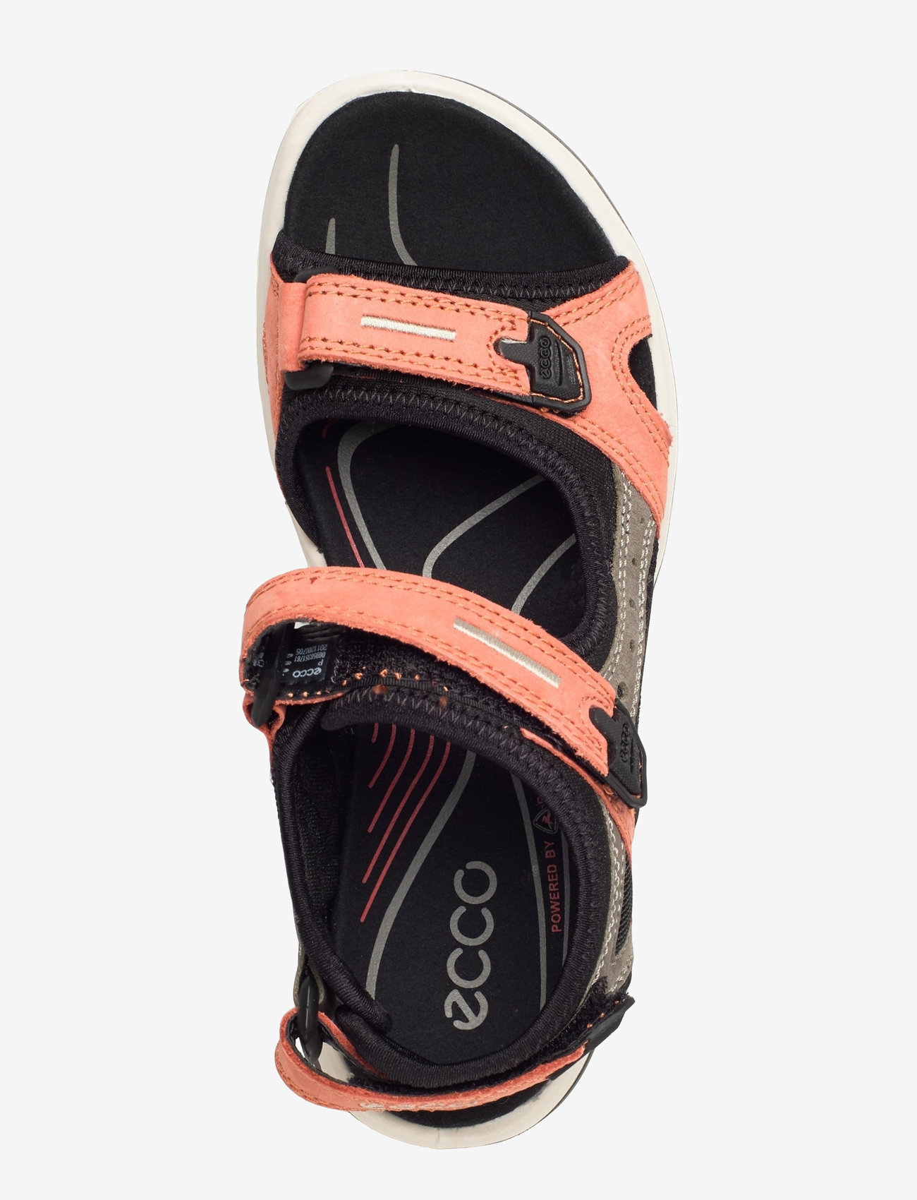 ECCO - OFFROAD - apricot/dark clay - 3