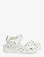 ECCO - OFFROAD - flat sandals - white/iridescent - 1