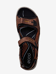 ECCO - OFFROAD - sandals - espresso/cocoa brown/black - 2