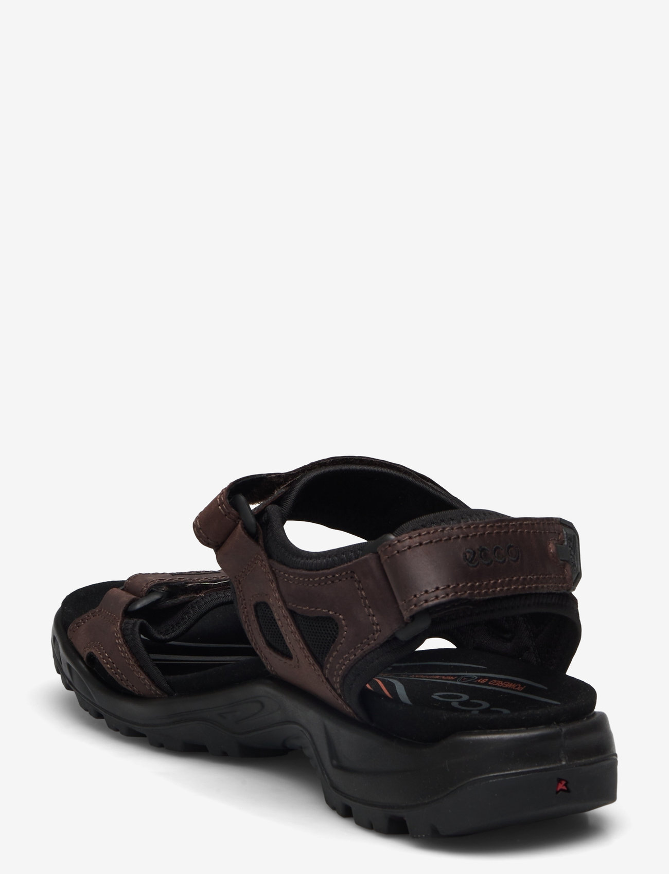 ECCO - OFFROAD - mocha/mocha - 2