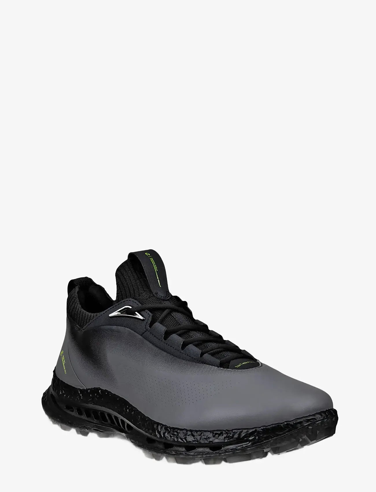 ECCO - M GOLF BIOM C5 - golfskor - steel/steel - 0