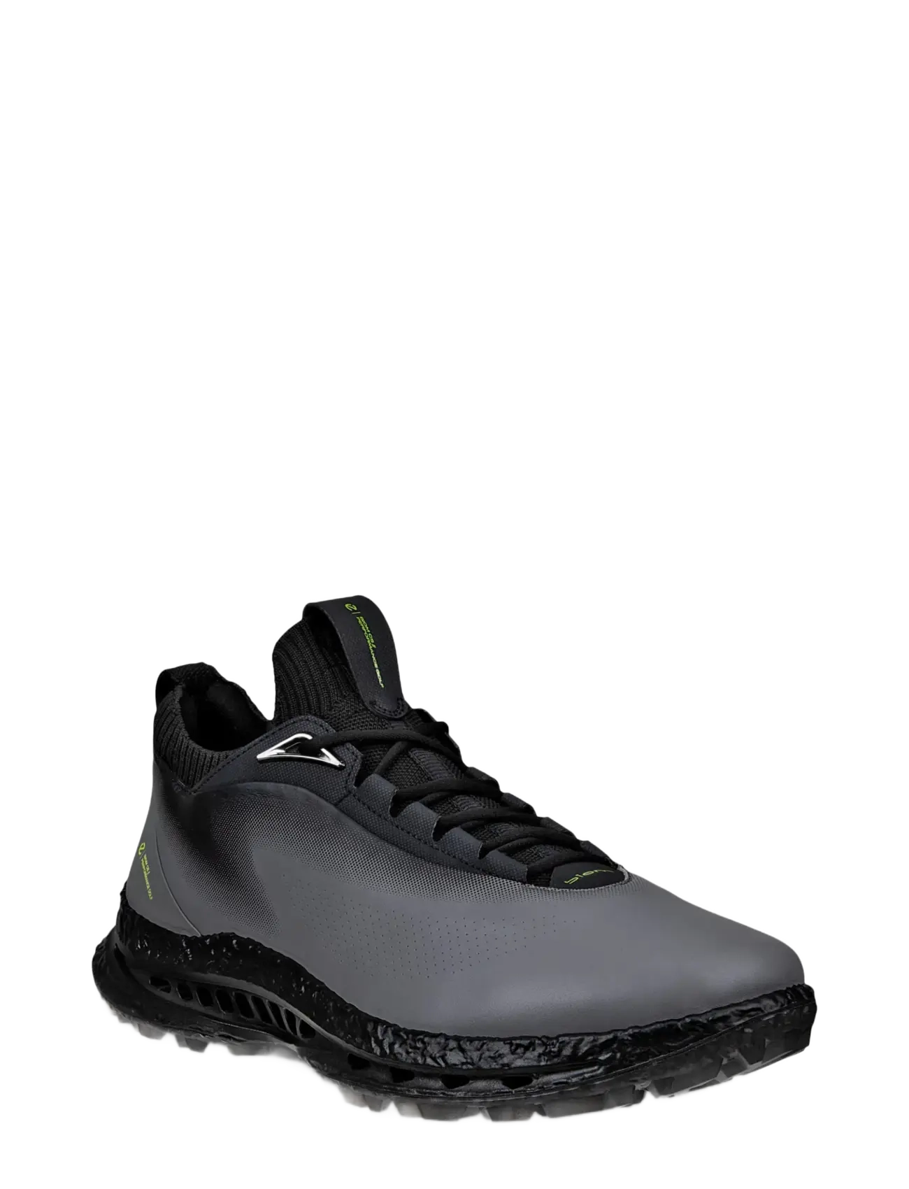 ECCO M GOLF BIOM C5 - ECCO - STEEL/STEEL / grey