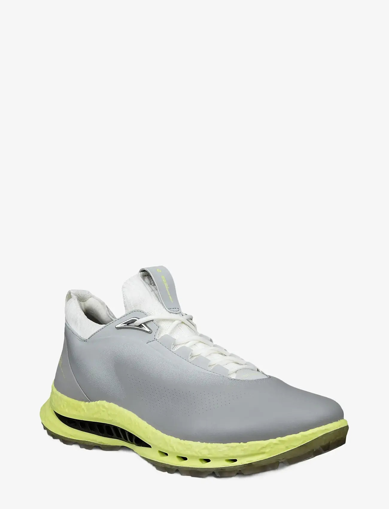 ECCO - M GOLF BIOM C5 - golfsko - wild dove/wild dove - 1