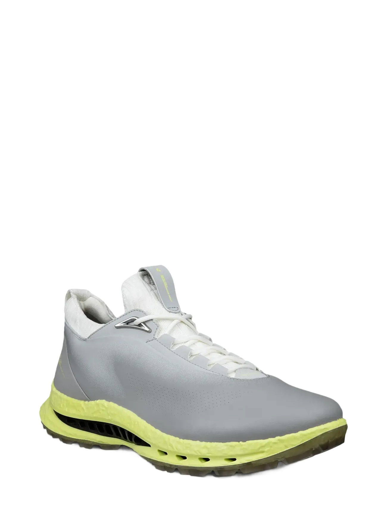 ECCO M GOLF BIOM C5 - Schuhe - WILD DOVE/WILD DOVE / grey