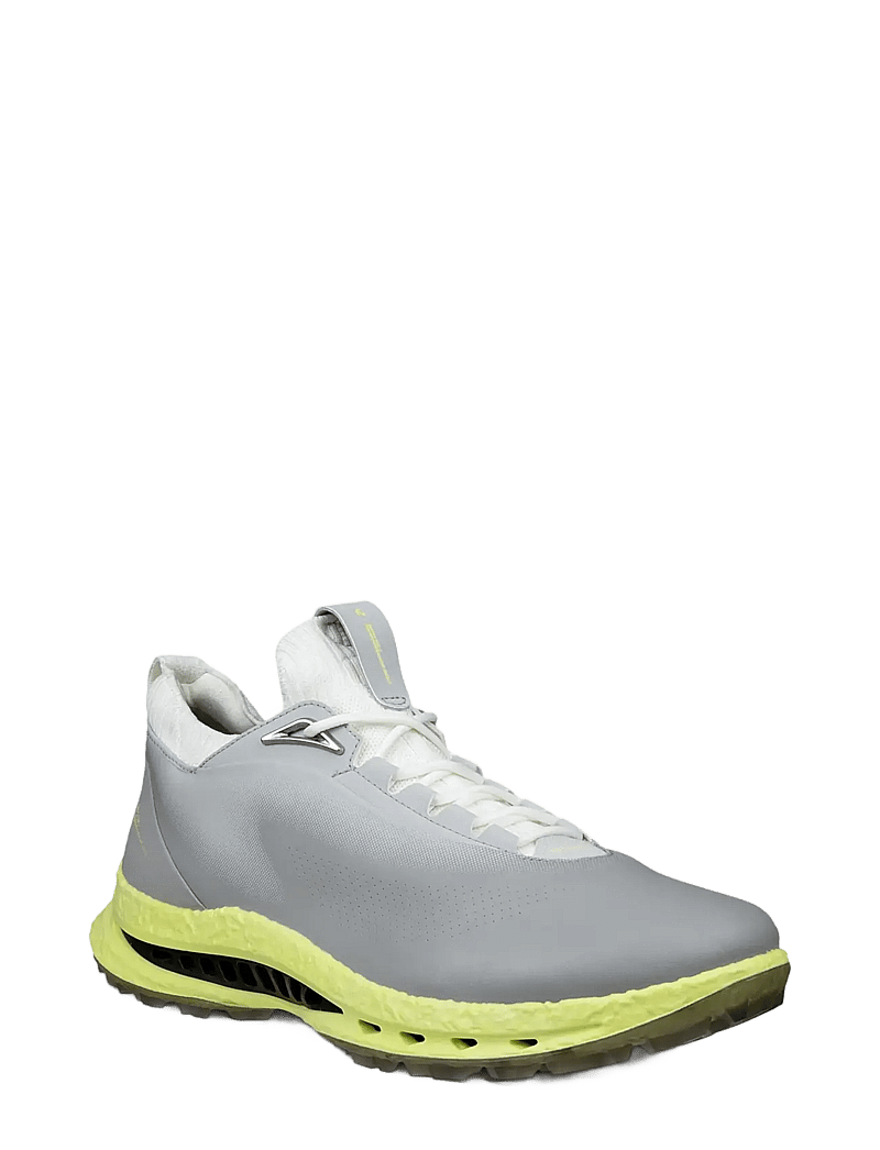 ECCO - M GOLF BIOM C5 - golfschuhe - wild dove/wild dove - 1