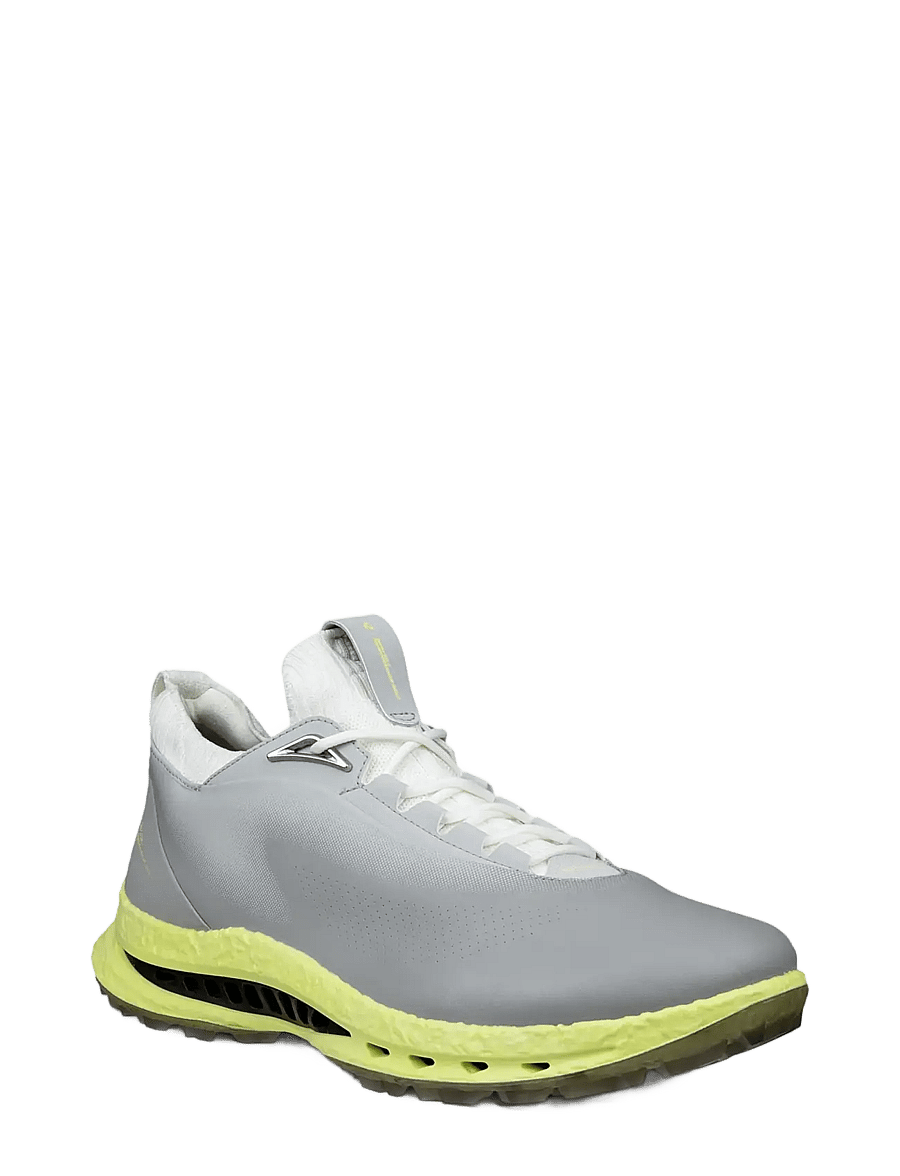 ECCO - M GOLF BIOM C5 - golfschuhe - wild dove/wild dove - 1