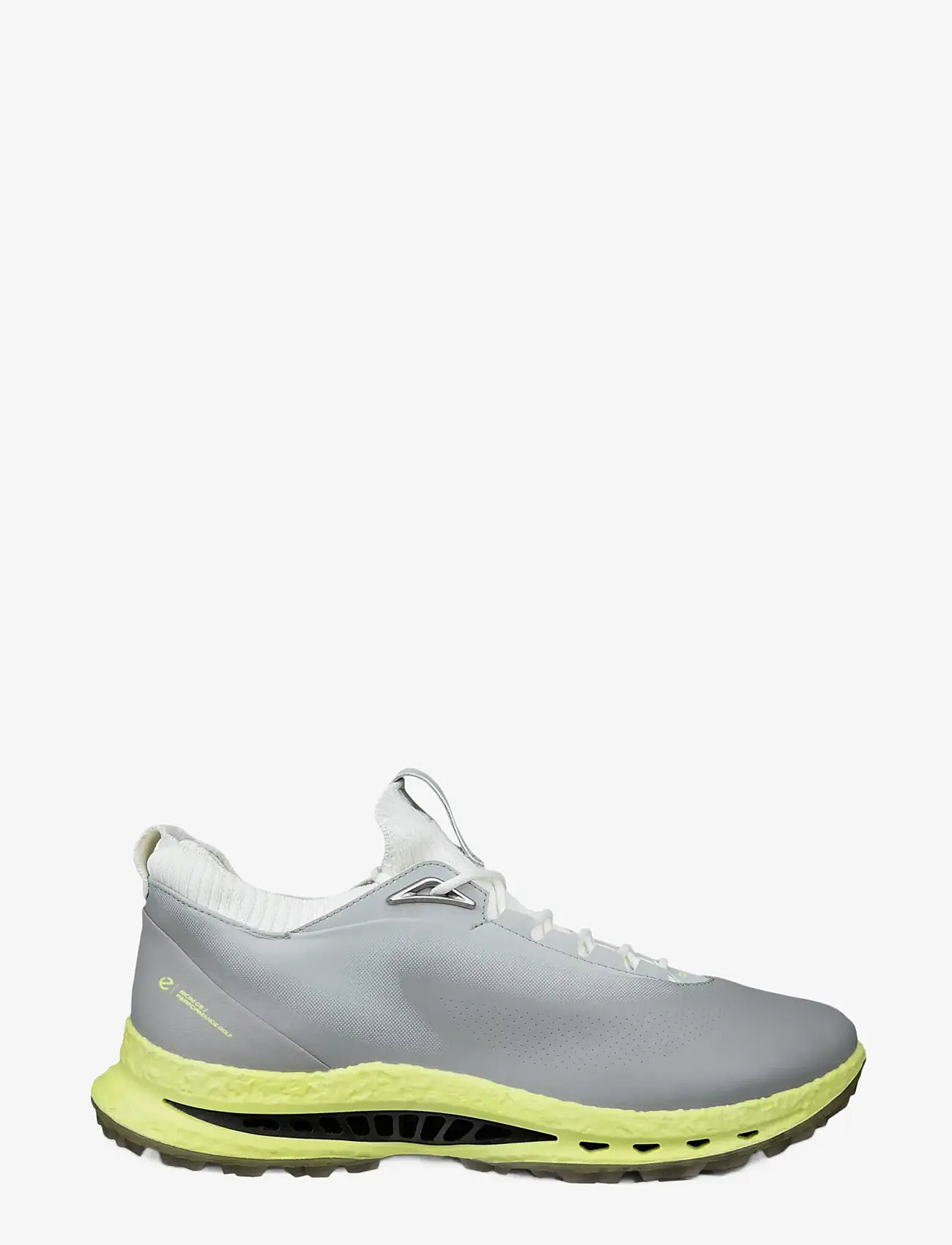 ECCO - M GOLF BIOM C5 - golfsko - wild dove/wild dove - 2