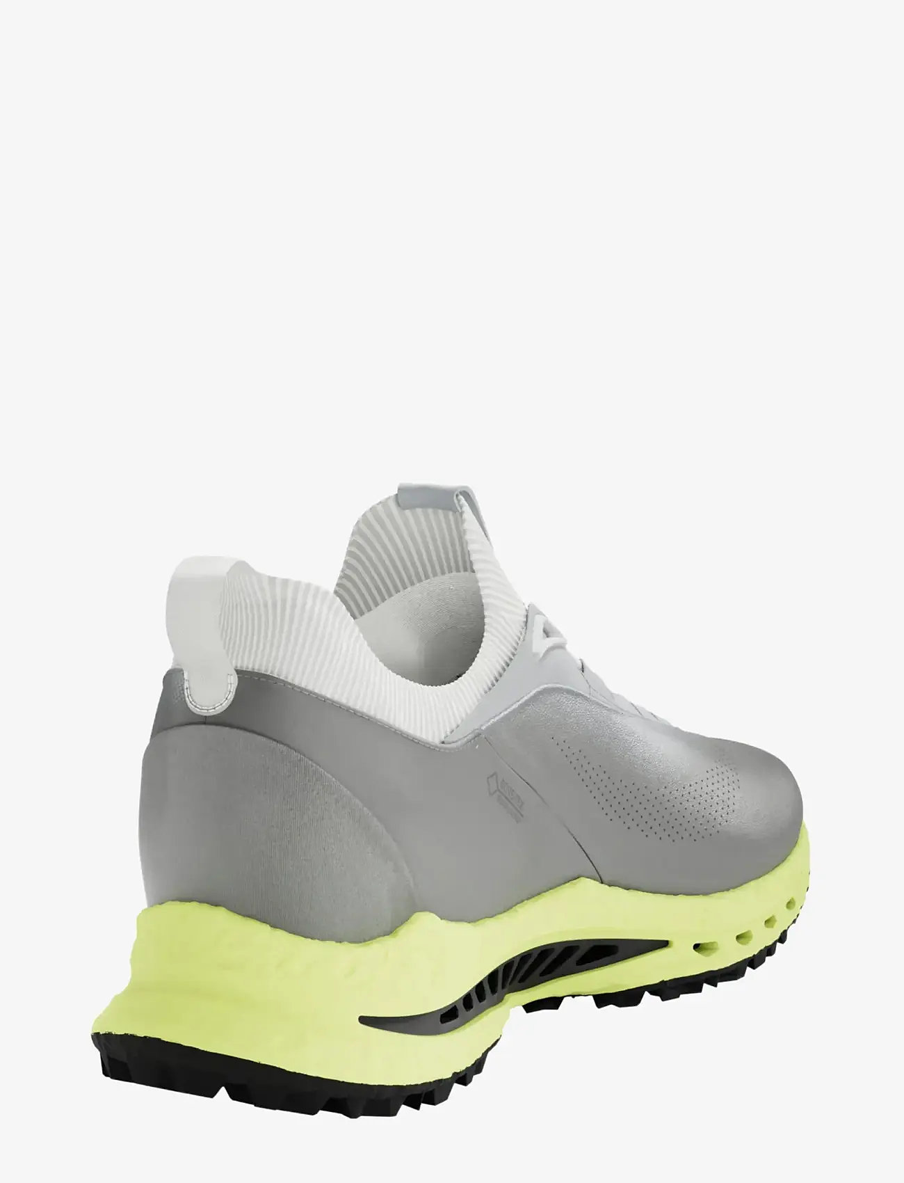 ECCO - M GOLF BIOM C5 - golfsko - wild dove/wild dove - 3