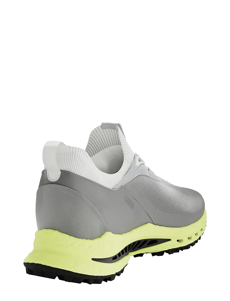 ECCO - M GOLF BIOM C5 - golfschuhe - wild dove/wild dove - 3