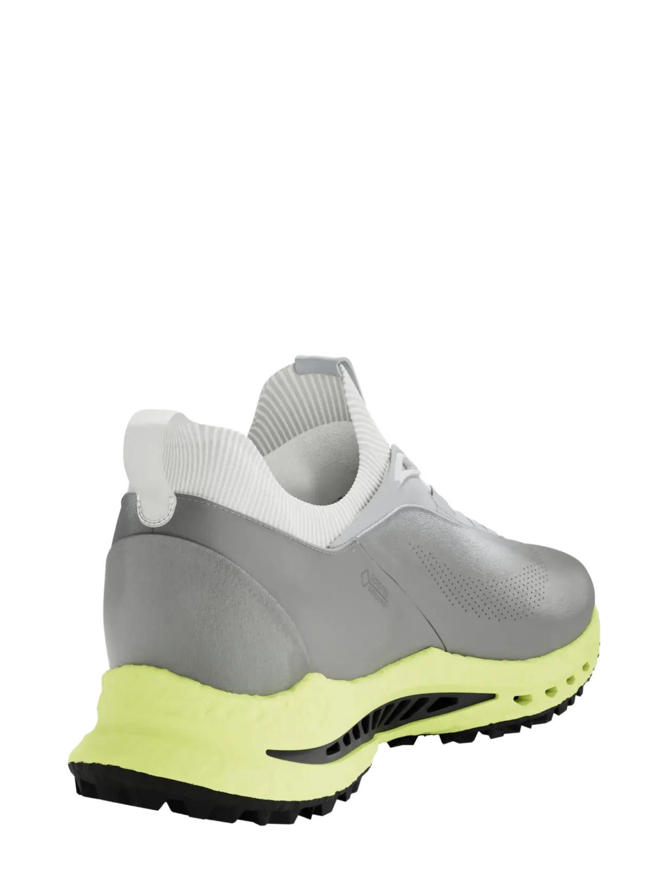 ECCO - M GOLF BIOM C5 - golf shoes - wild dove/wild dove - 3