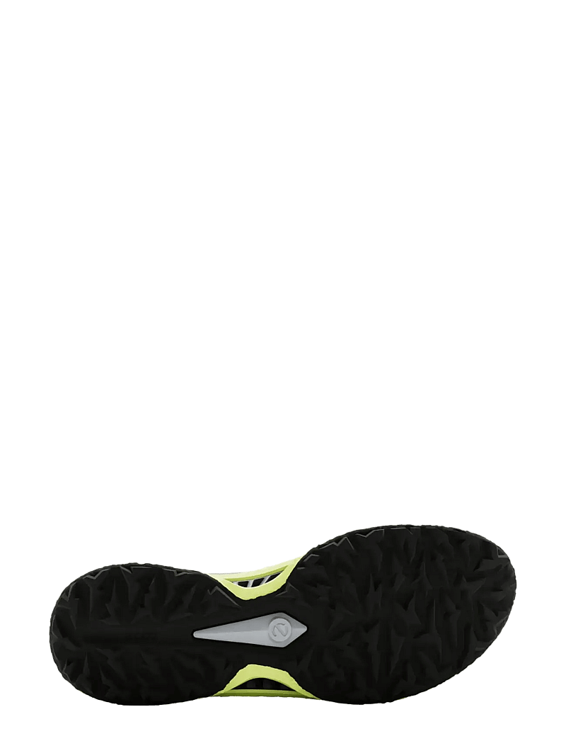 ECCO - M GOLF BIOM C5 - golfschuhe - wild dove/wild dove - 4
