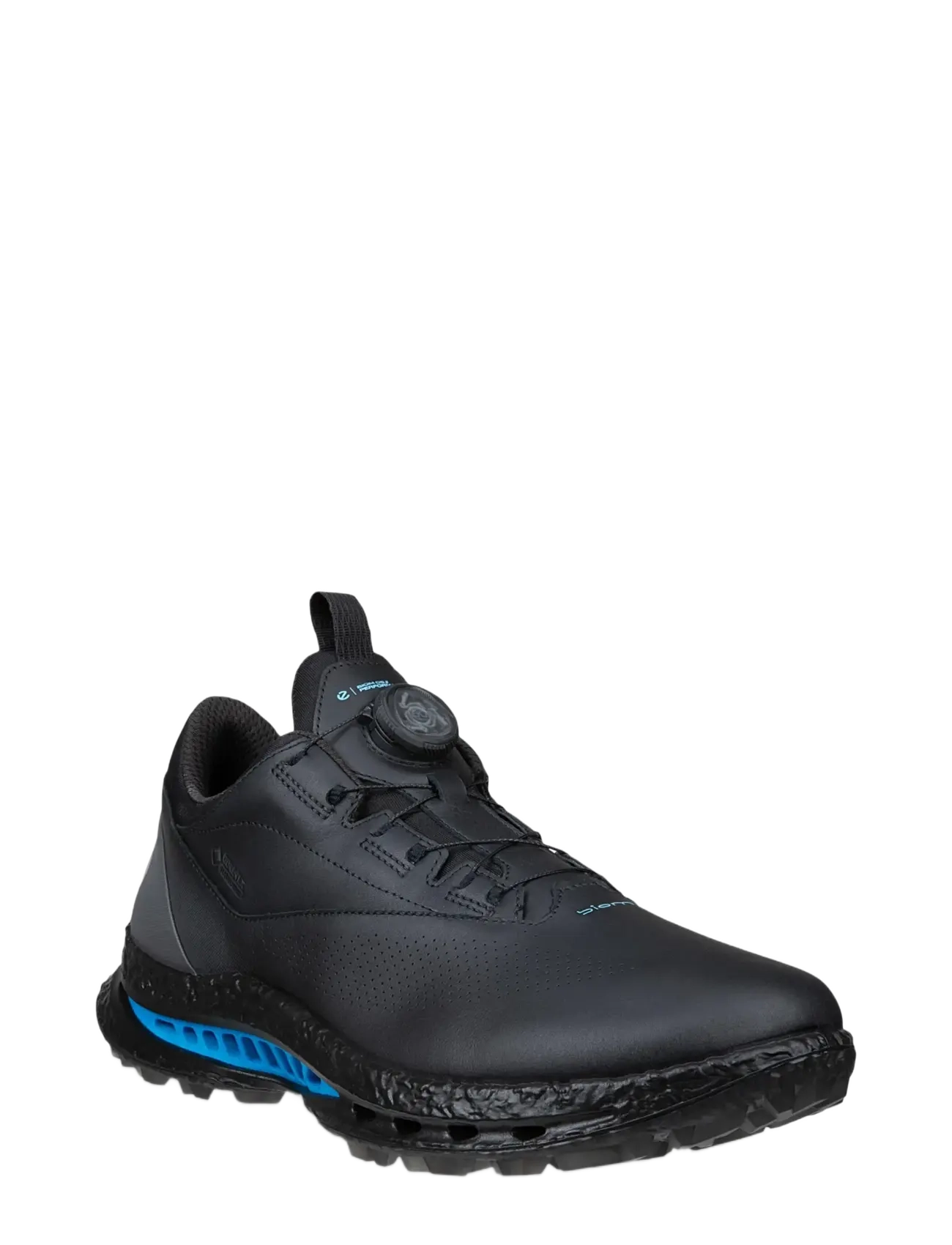 ECCO M GOLF BIOM C5 - ECCO - BLACK/MAGNET / black