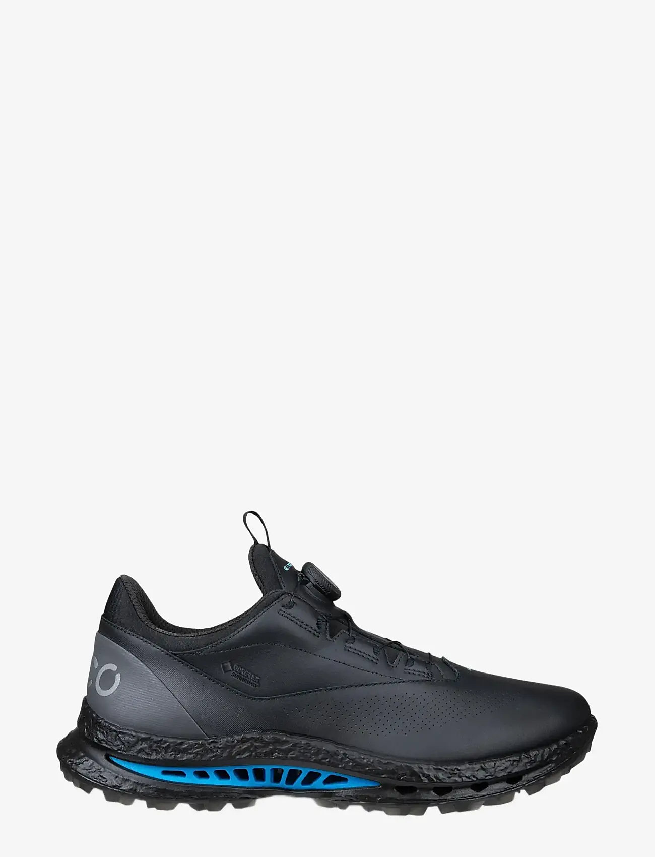 ECCO - M GOLF BIOM C5 - golfschuhe - black/magnet - 1