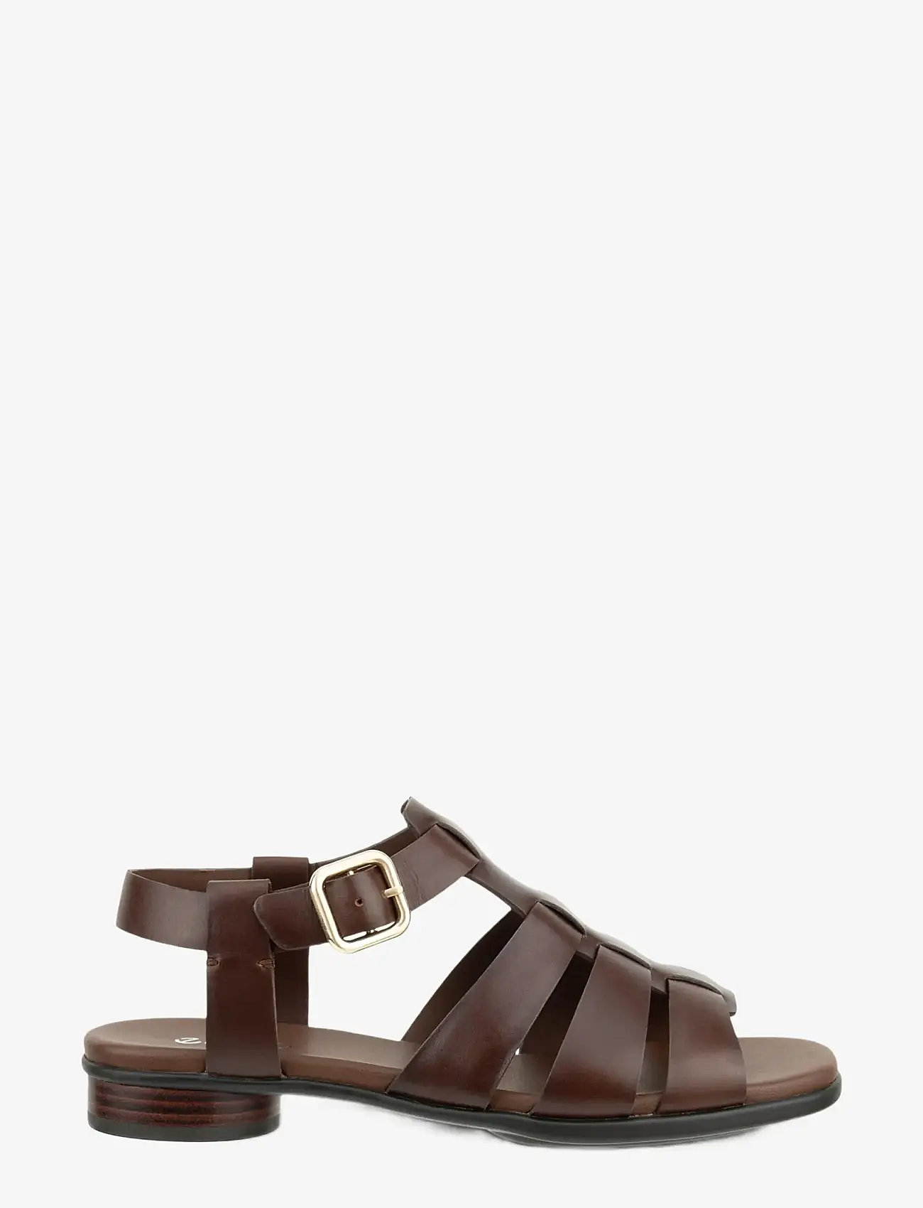 ECCO - SCULPTED ALBA 25 - gladiaator sandaalid - potting soil - 1