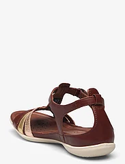 ECCO - FLASH - flat sandals - mink/gold/hammered bronze - 2