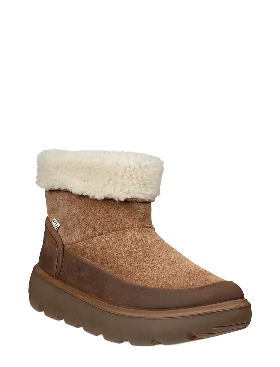 ECCO - GLACIA - camel/camel - 1