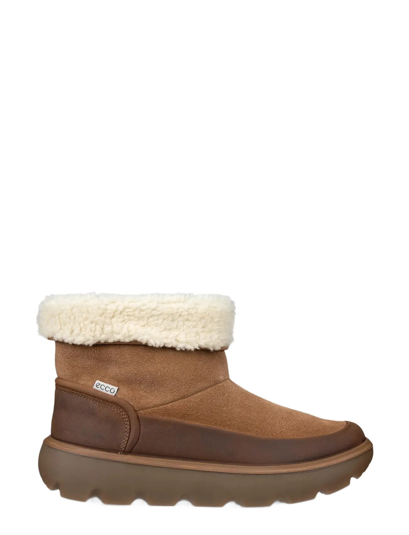 ECCO - GLACIA - camel/camel - 2