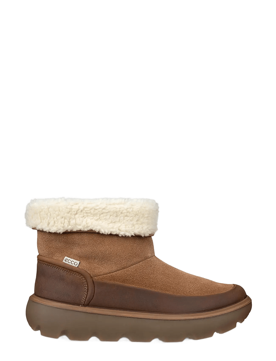 ECCO - GLACIA - camel/camel - 2
