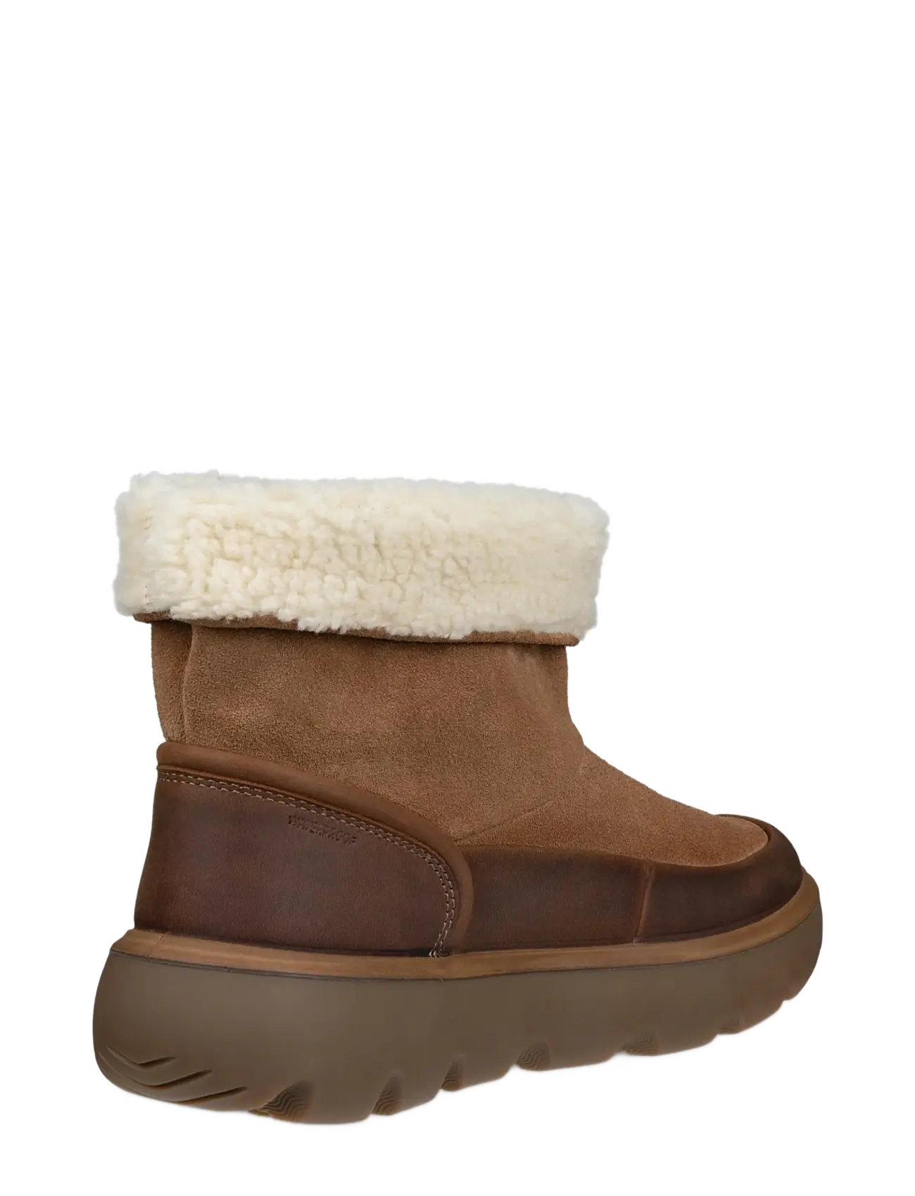 ECCO - GLACIA - camel/camel - 3