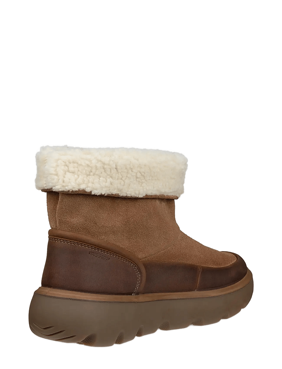 ECCO - GLACIA - camel/camel - 3