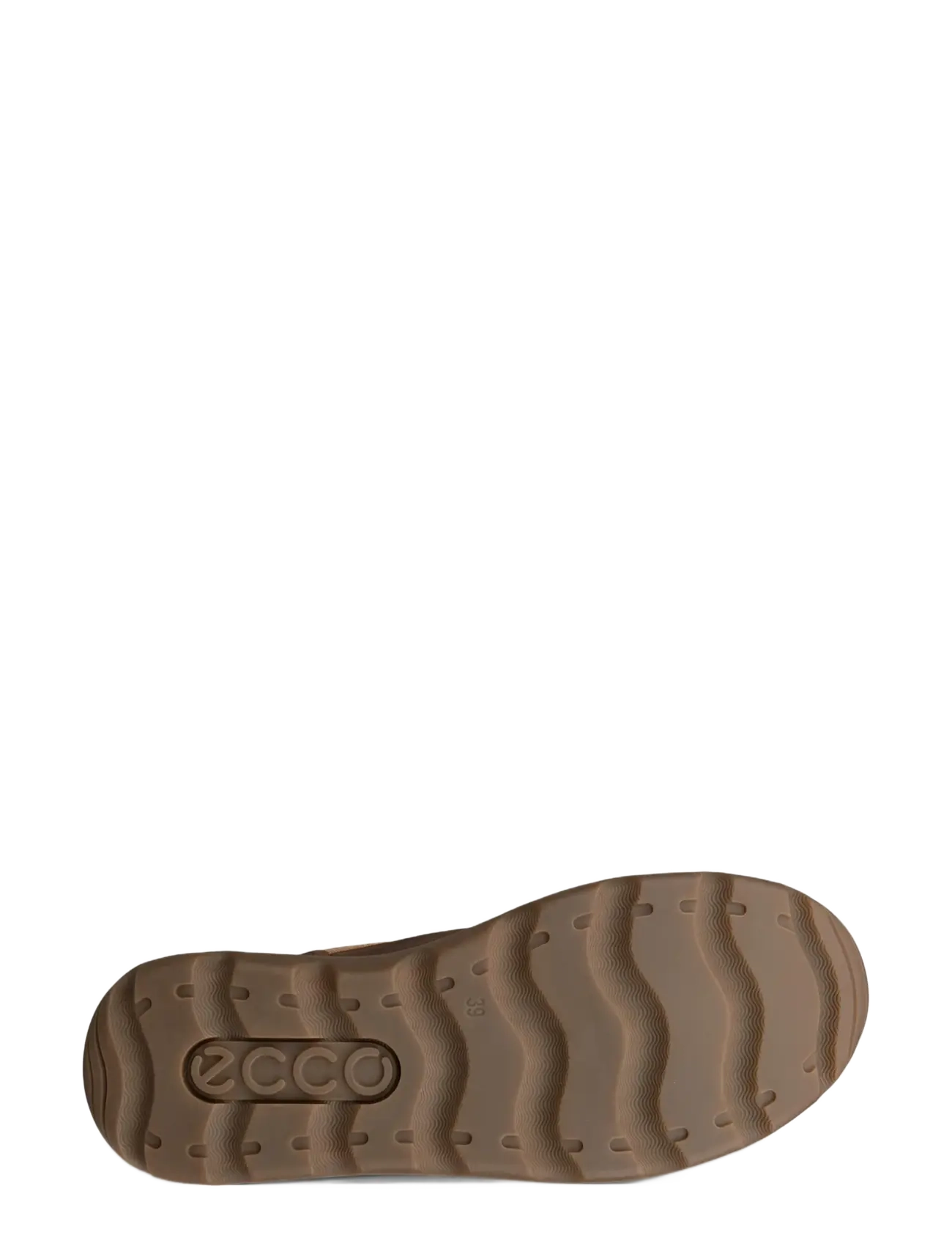 ECCO - GLACIA - camel/camel - 4