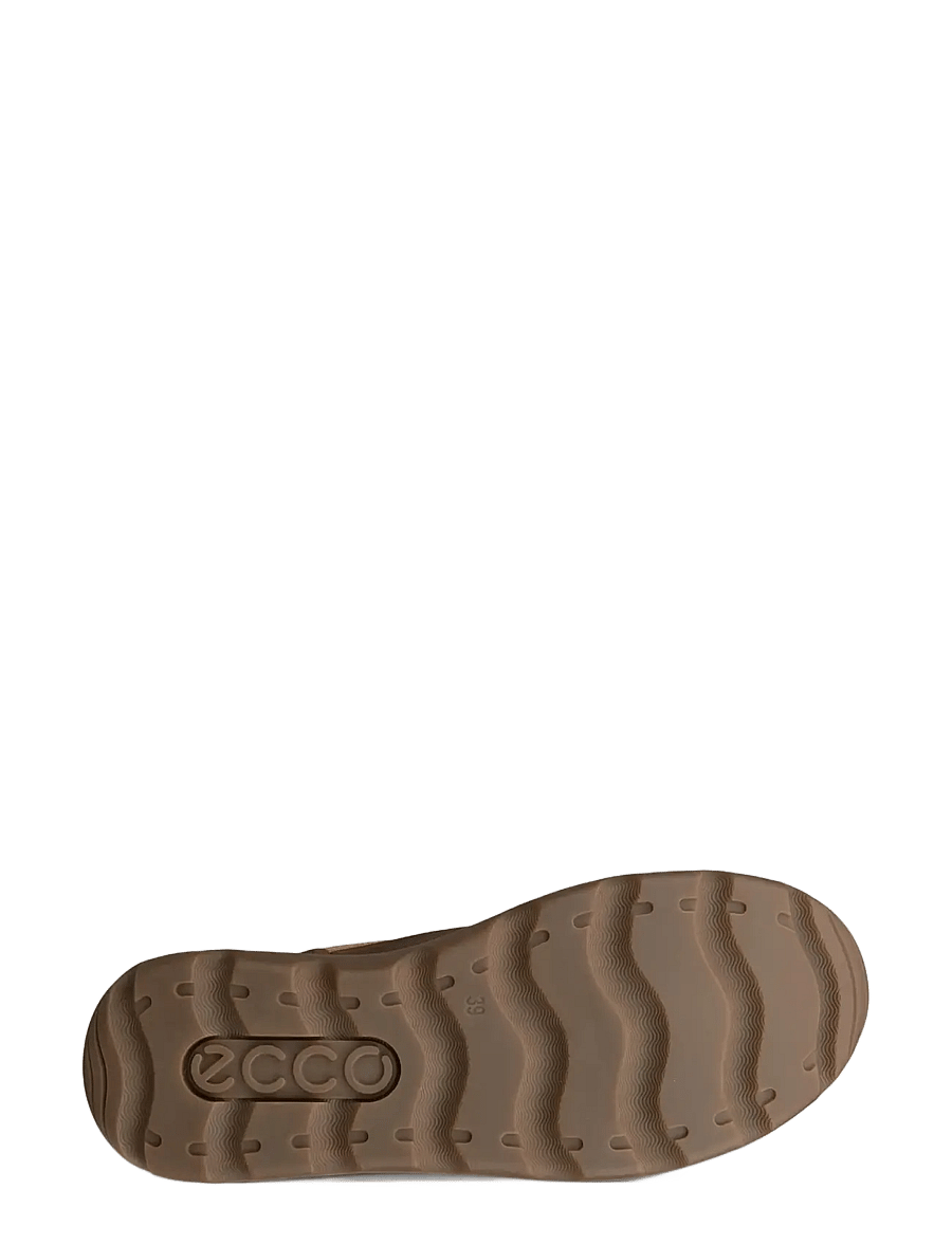 ECCO - GLACIA - camel/camel - 4