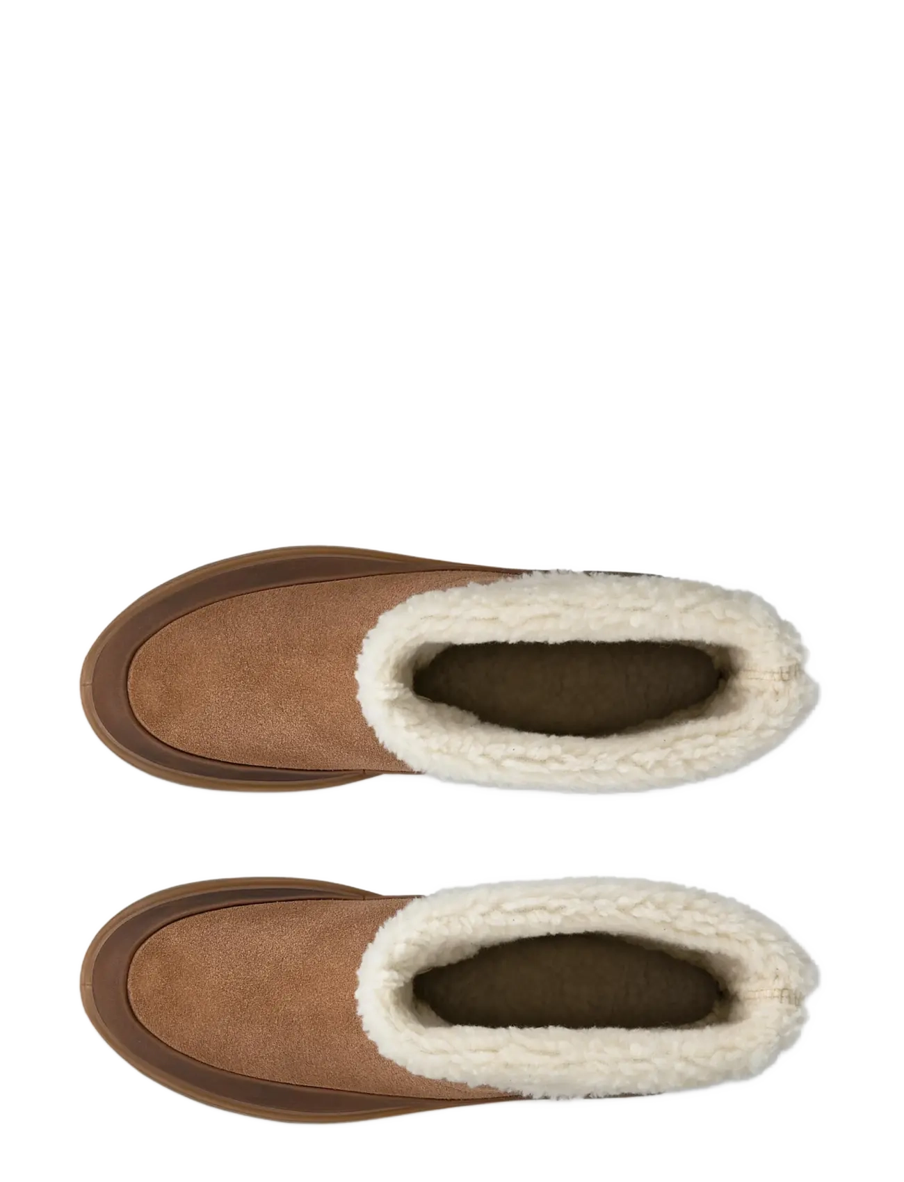 ECCO - GLACIA - camel/camel - 5
