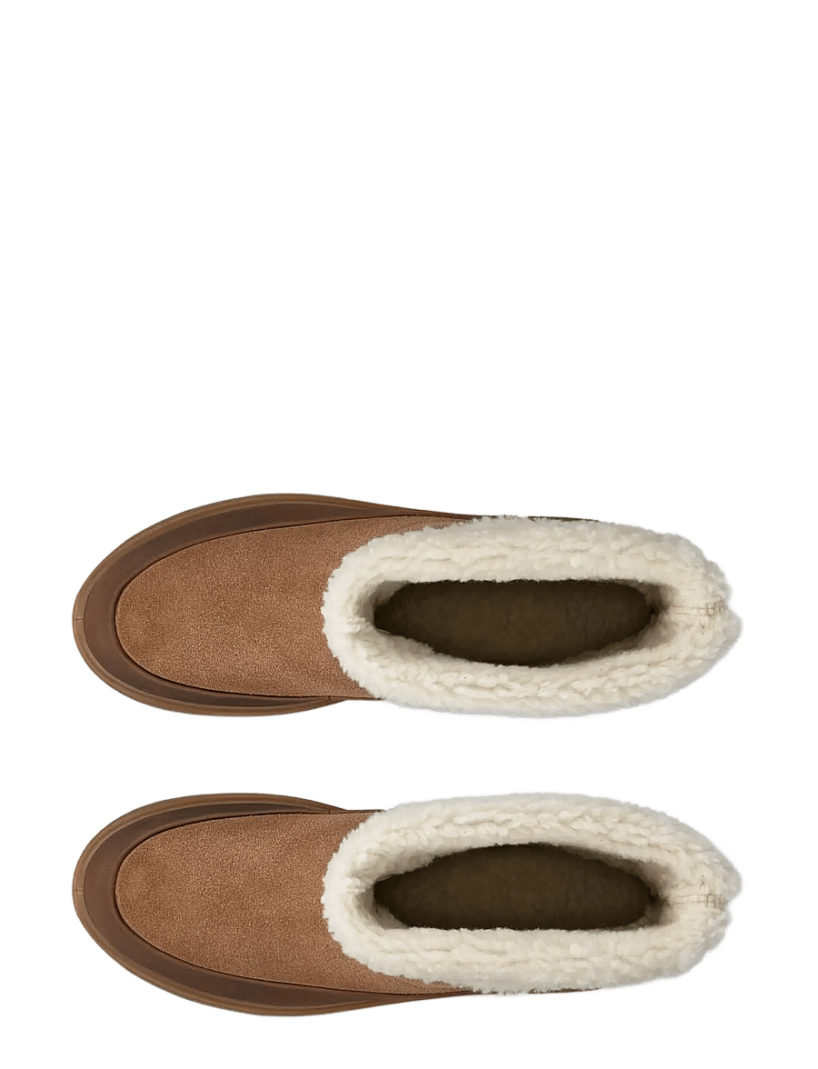 ECCO - GLACIA - camel/camel - 5