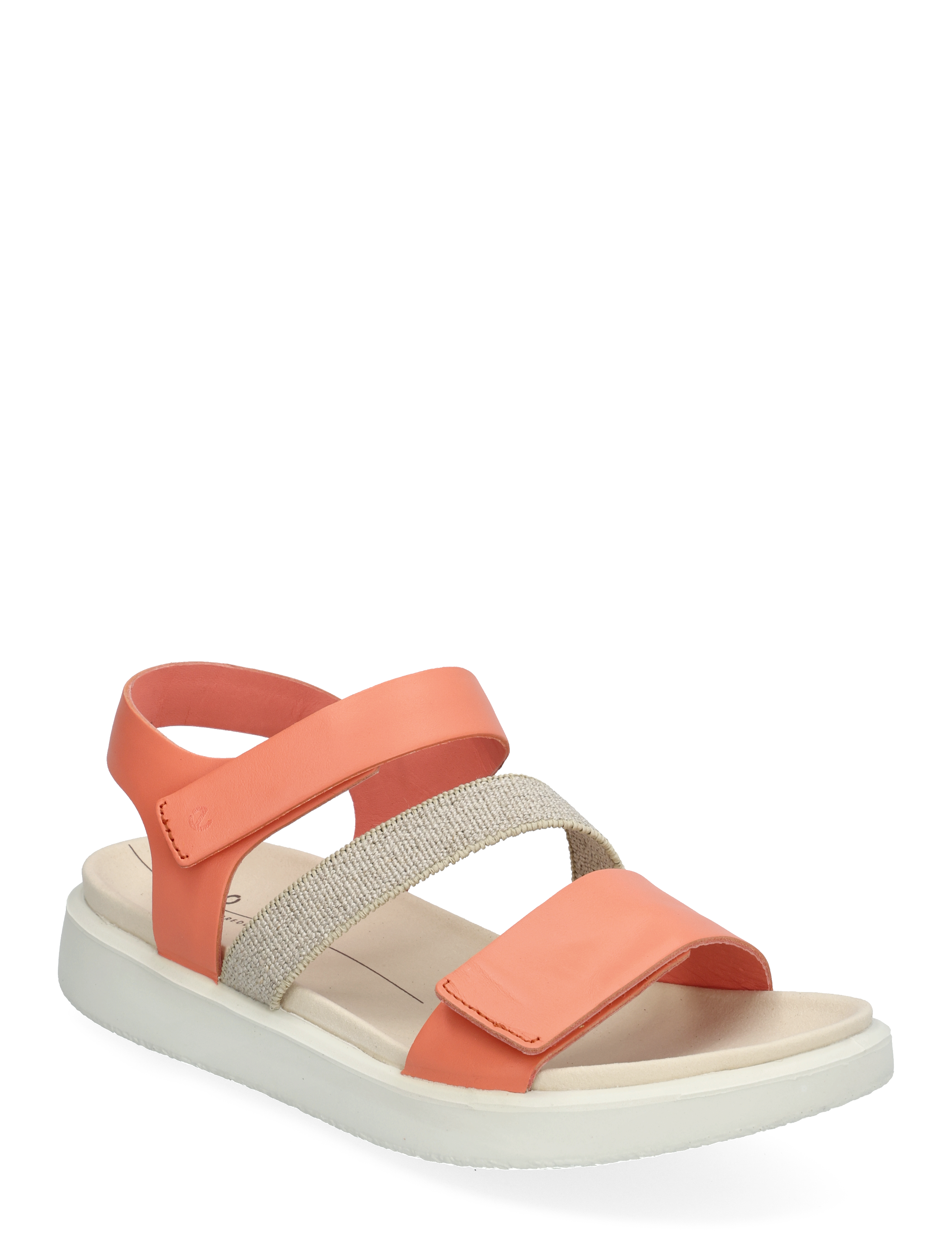 CORAL
