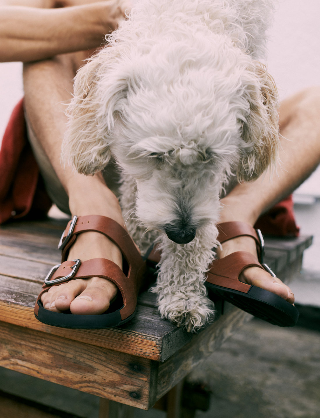 ECCO Cozmo M Sandals Boozt