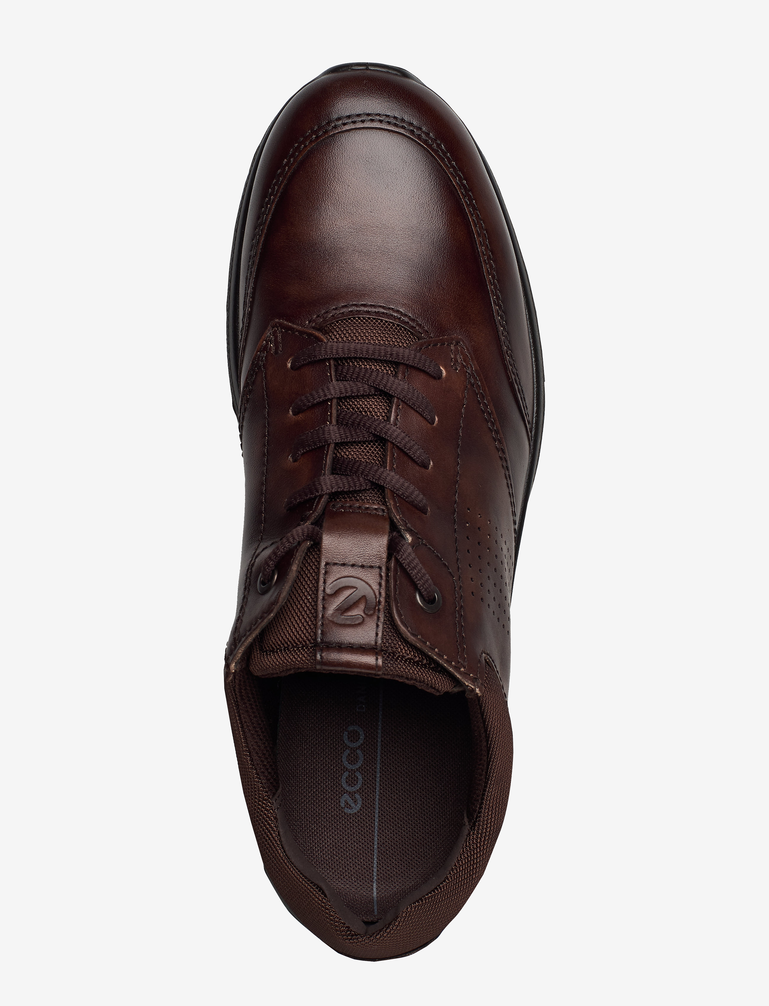 ECCO - IRVING - low-top sneaker - cocoa brown/coffee - 3