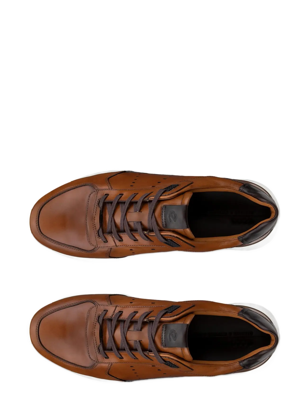 ECCO - ASTIR NEO - saddle/cocoa brown - 5