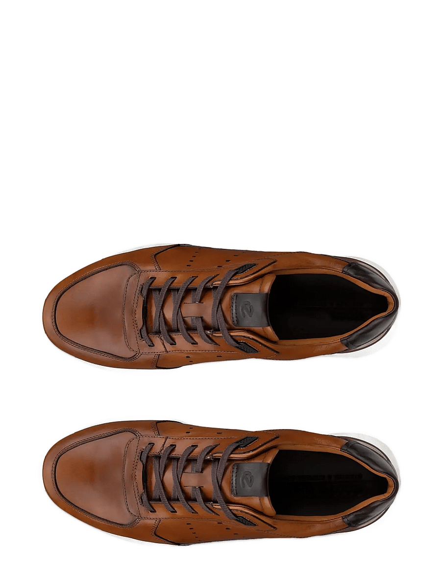 ECCO - ASTIR NEO - saddle/cocoa brown - 5