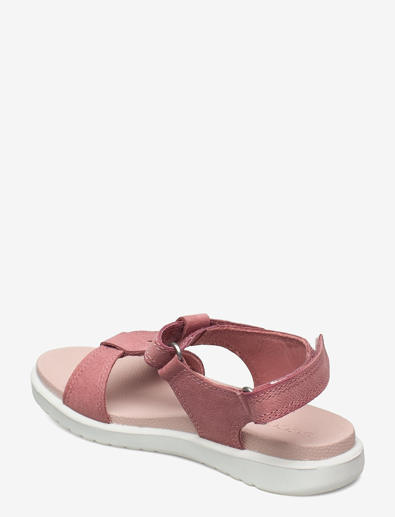 ECCO - FLORA - damask rose - 2