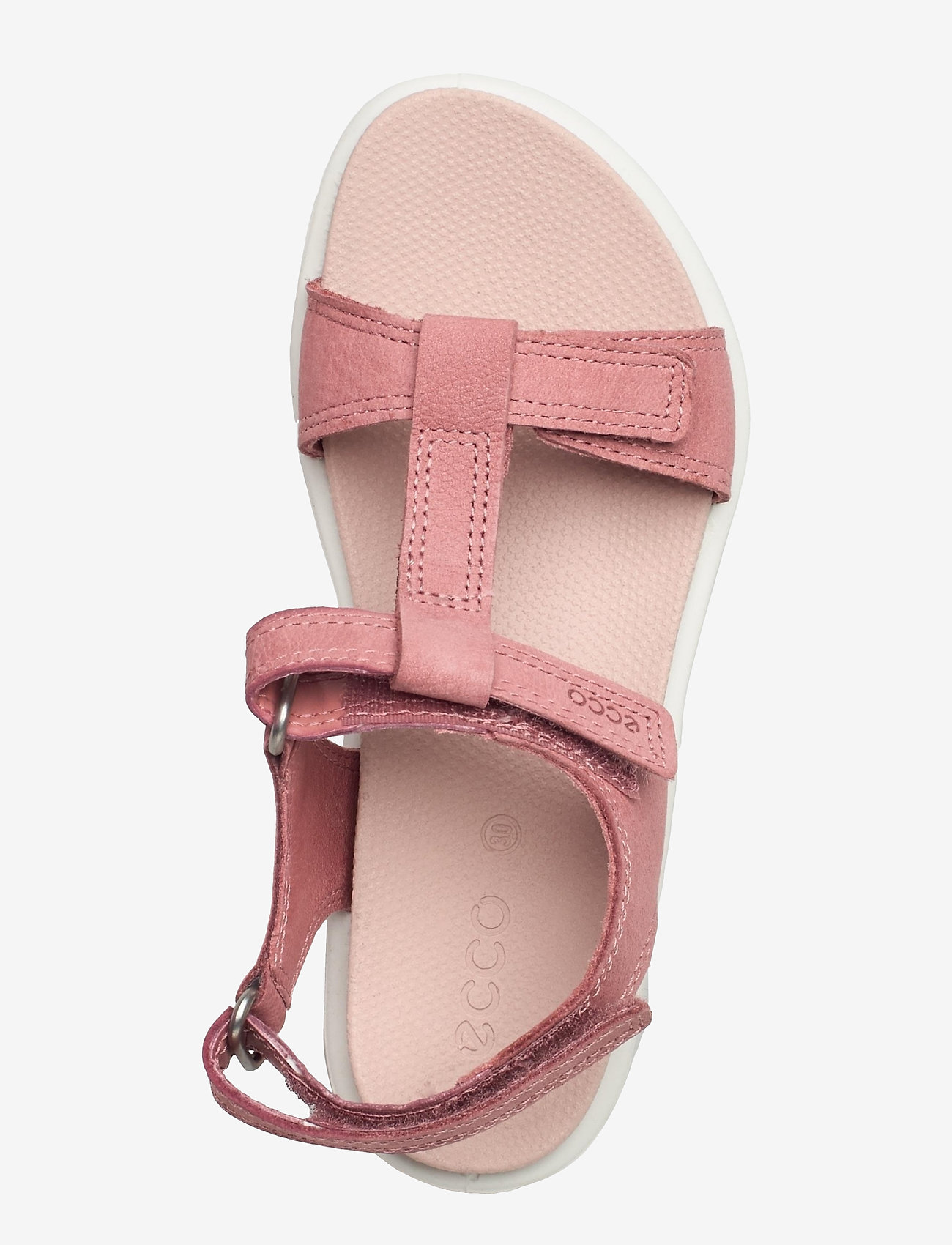 ECCO - FLORA - damask rose - 3