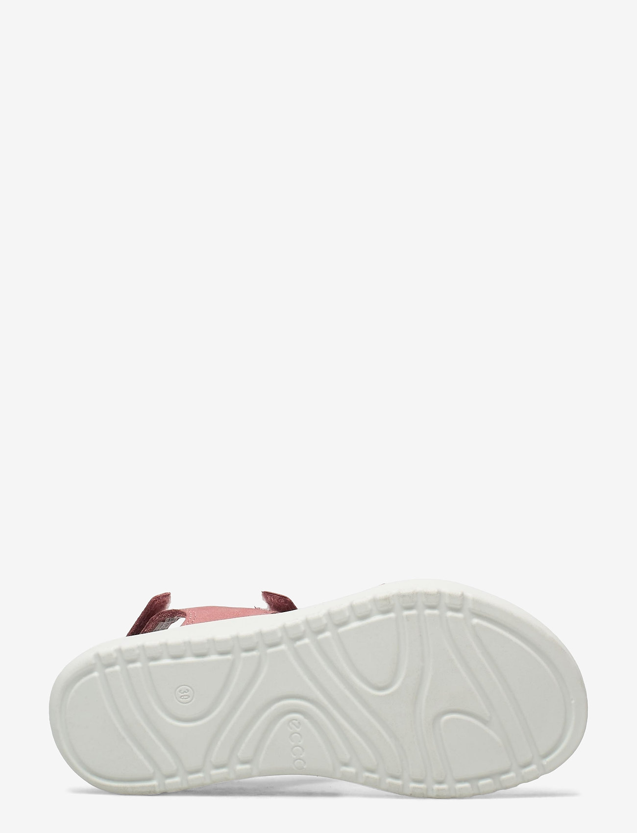 ECCO - FLORA - damask rose - 4