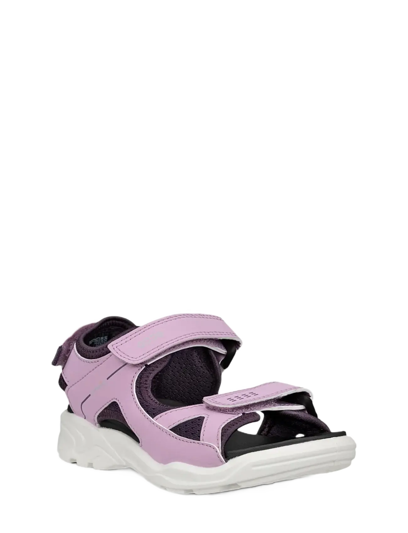 LAVENDER MIST/NIGHT SHADE