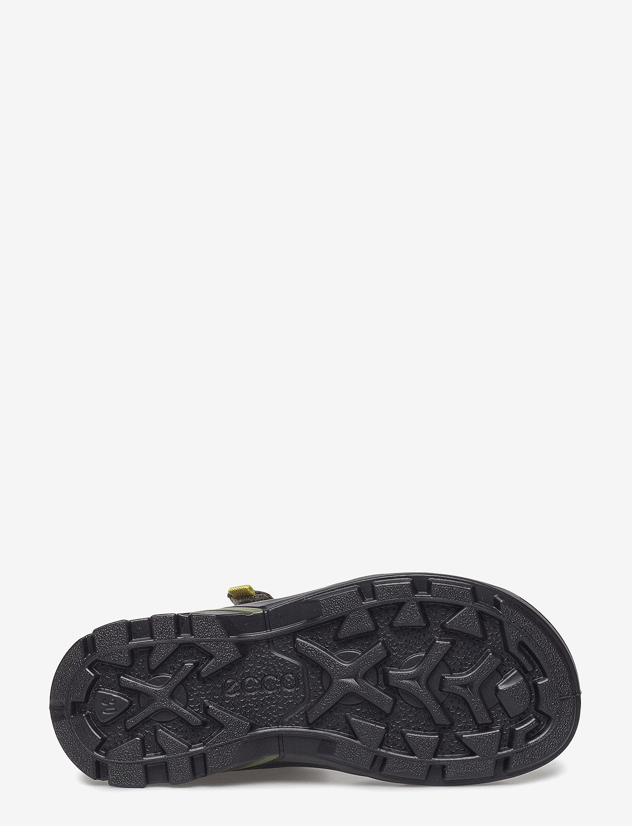 ECCO - BIOM RAFT - grape leaf/black/grape leaf - 4