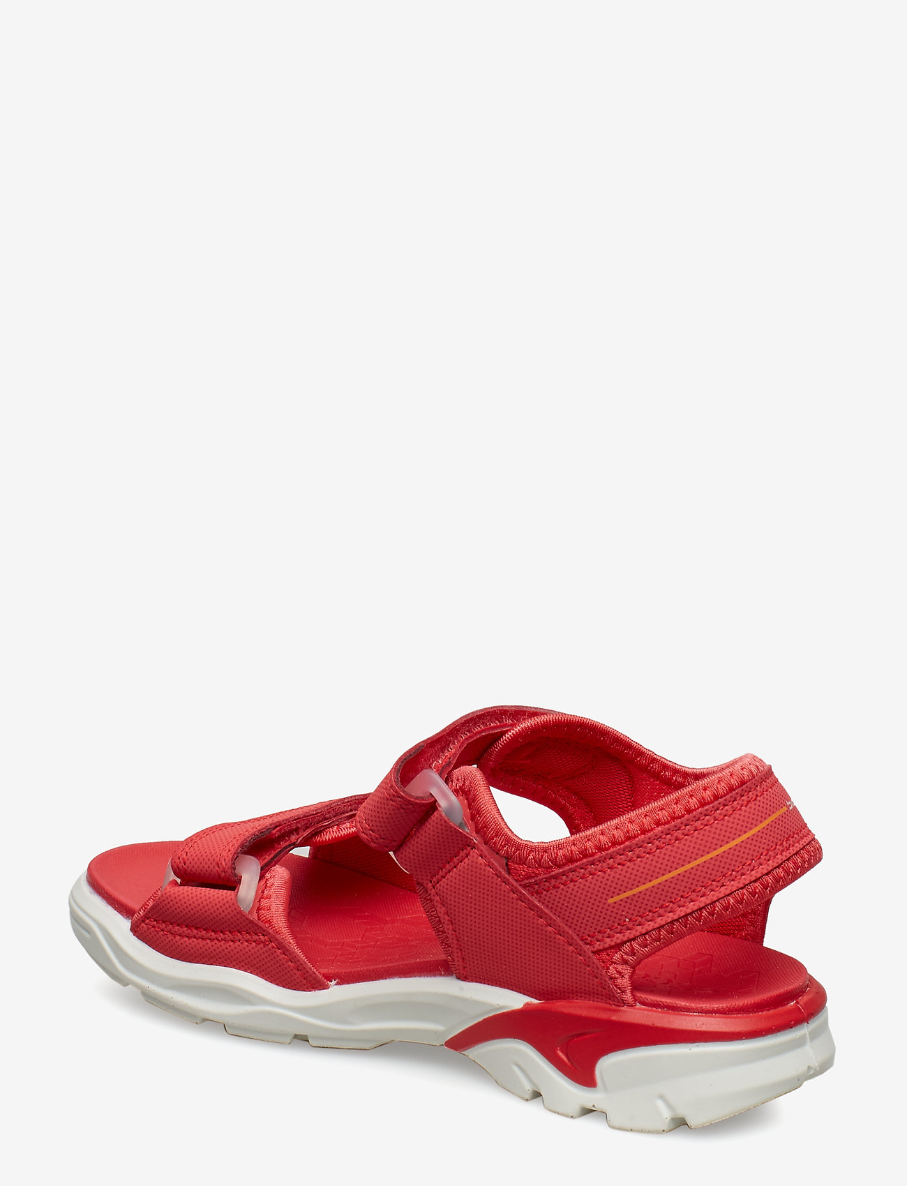 ECCO - BIOM RAFT - teaberry - 2