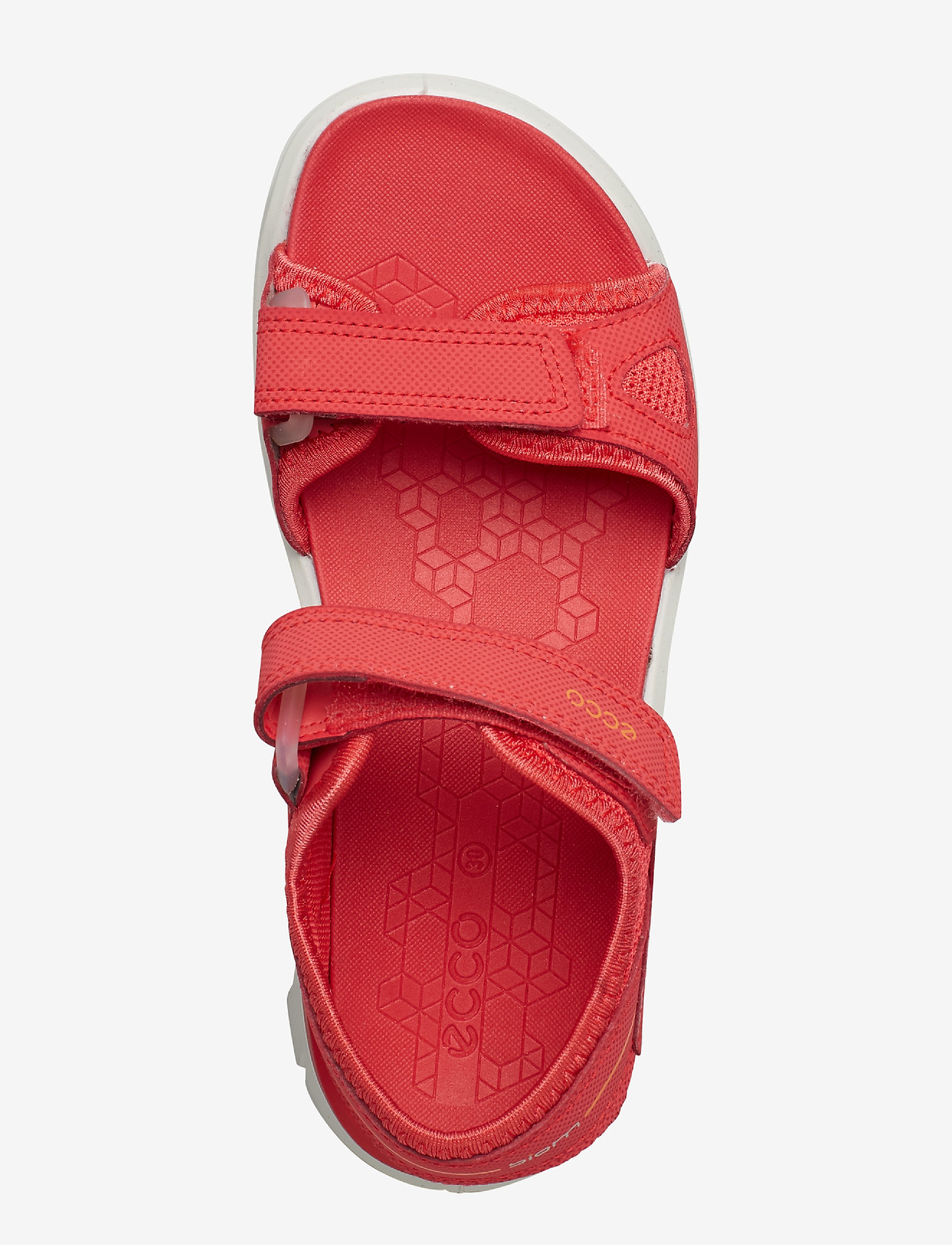 ECCO - BIOM RAFT - teaberry - 3